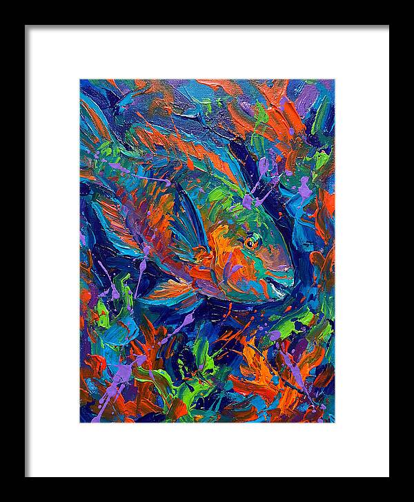 Vibrant Parrotfish In Motion