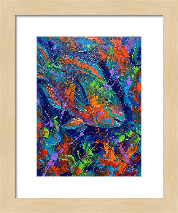 Vibrant Parrotfish In Motion