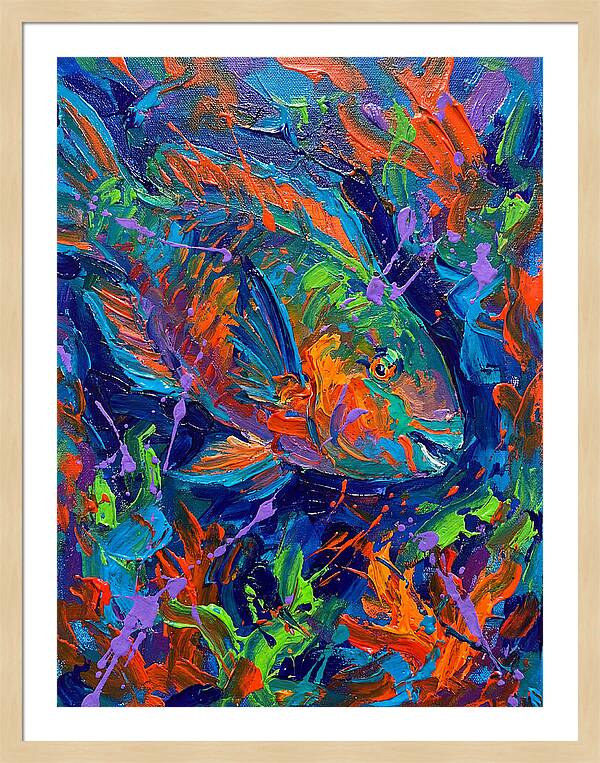 Vibrant Parrotfish In Motion