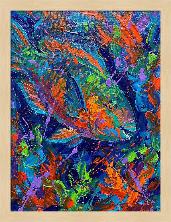 Vibrant Parrotfish In Motion