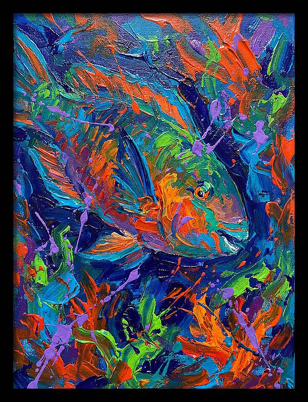 Vibrant Parrotfish In Motion