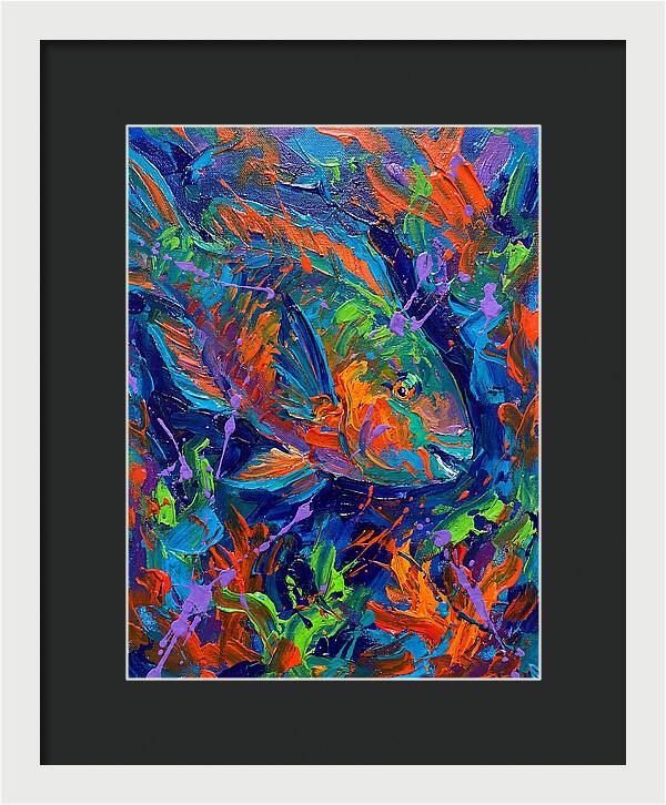 Vibrant Parrotfish In Motion