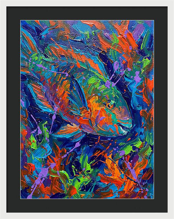 Vibrant Parrotfish In Motion