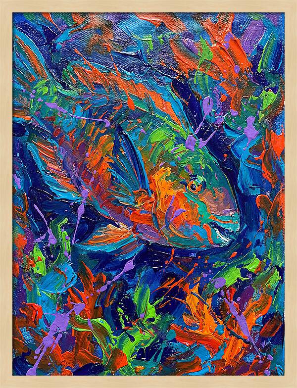 Vibrant Parrotfish In Motion