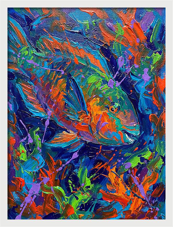 Vibrant Parrotfish In Motion