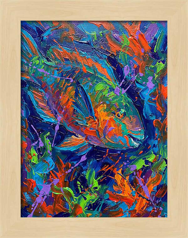 Vibrant Parrotfish In Motion