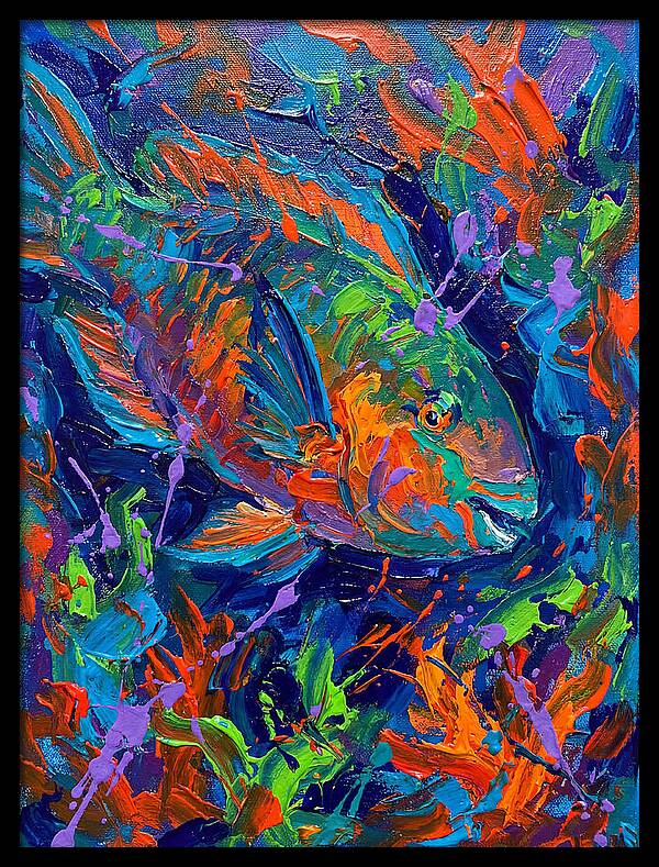Vibrant Parrotfish In Motion