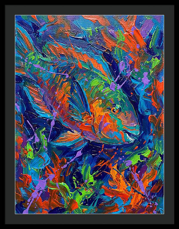 Vibrant Parrotfish In Motion