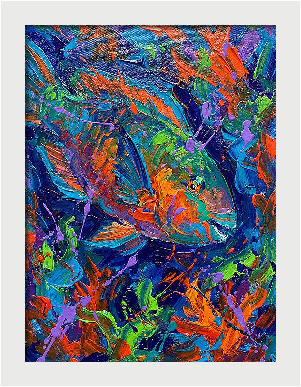Vibrant Parrotfish In Motion