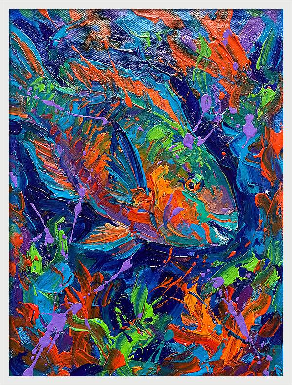 Vibrant Parrotfish In Motion