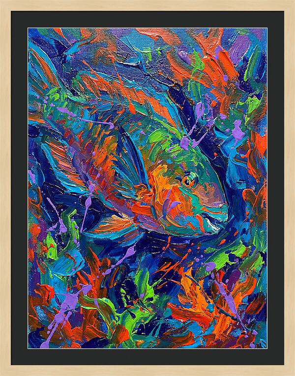Vibrant Parrotfish In Motion