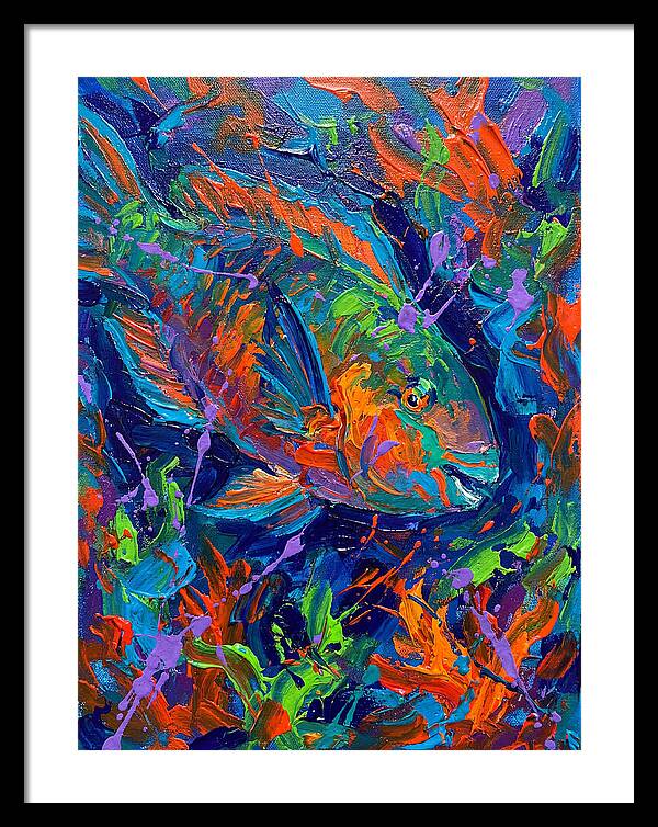 Vibrant Parrotfish In Motion