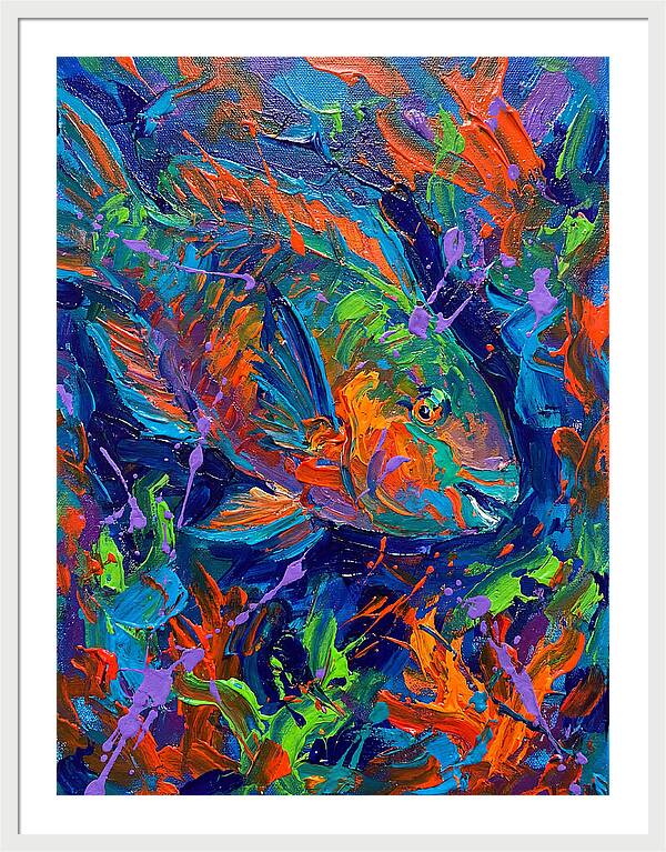 Vibrant Parrotfish In Motion