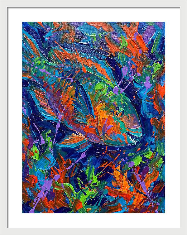 Vibrant Parrotfish In Motion