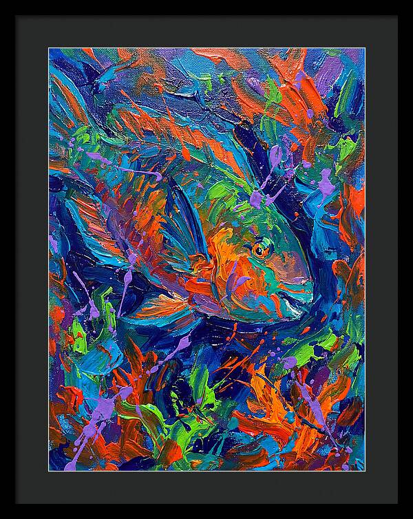 Vibrant Parrotfish In Motion