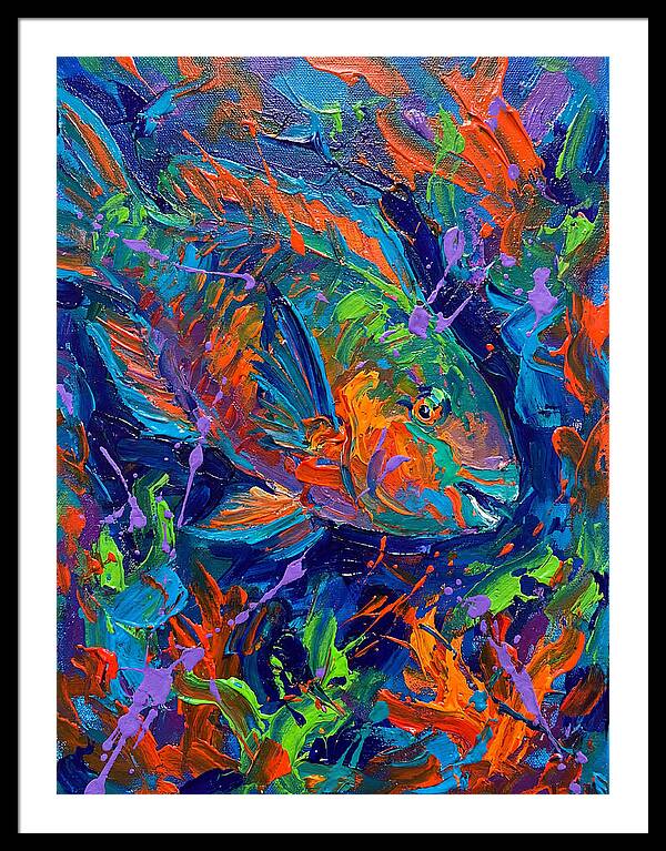 Vibrant Parrotfish In Motion