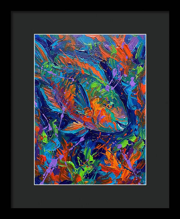 Vibrant Parrotfish In Motion