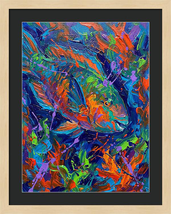Vibrant Parrotfish In Motion