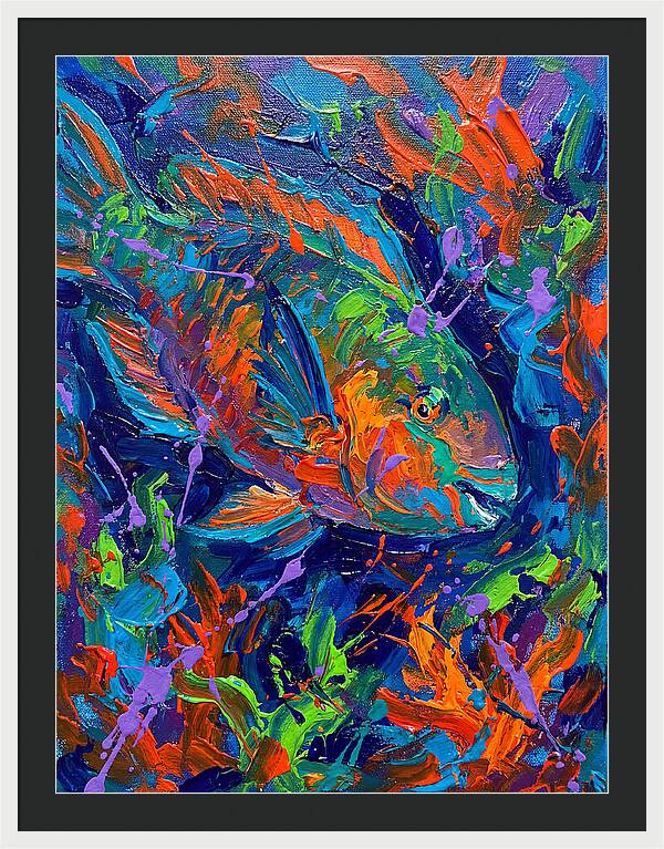 Vibrant Parrotfish In Motion