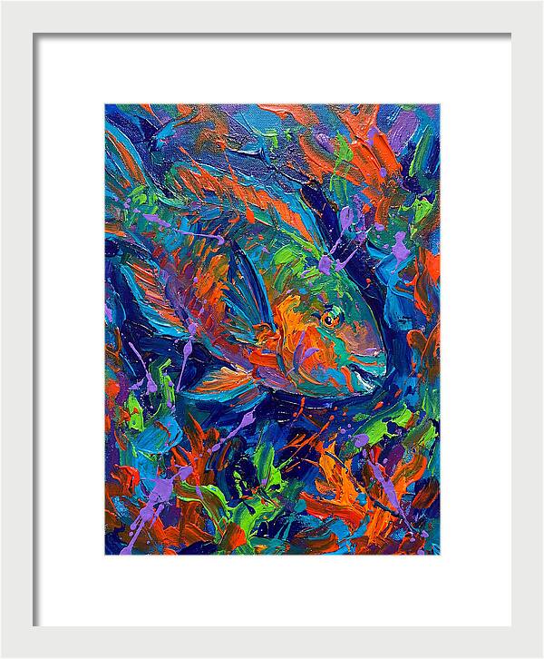 Vibrant Parrotfish In Motion