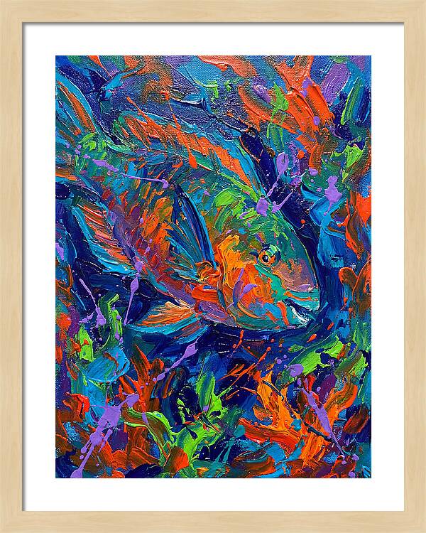 Vibrant Parrotfish In Motion