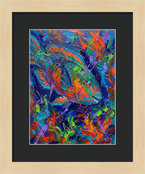 Vibrant Parrotfish In Motion