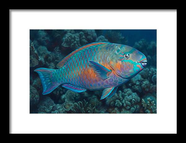 Vibrant Parrotfish Underwater
