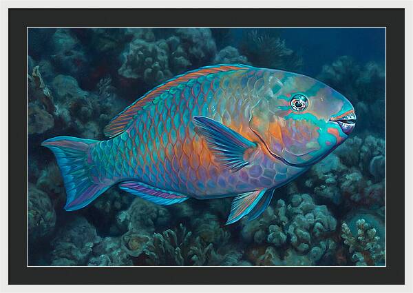 Vibrant Parrotfish Underwater