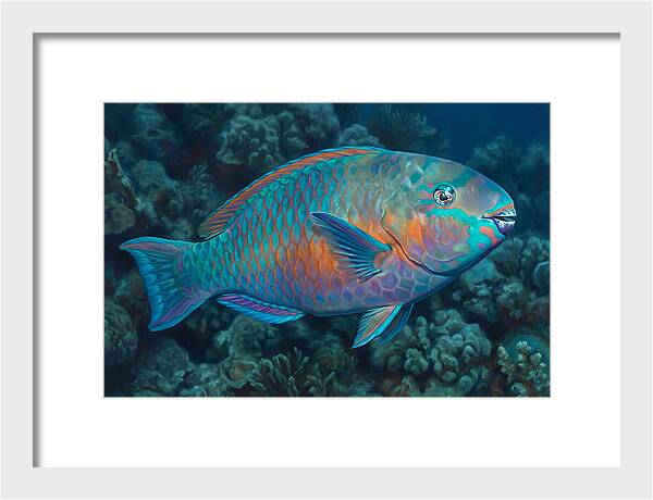 Vibrant Parrotfish Underwater