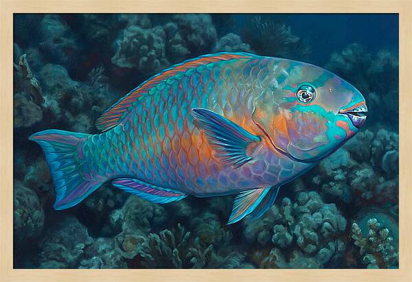 Vibrant Parrotfish Underwater
