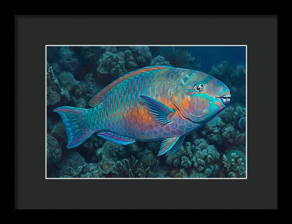 Vibrant Parrotfish Underwater