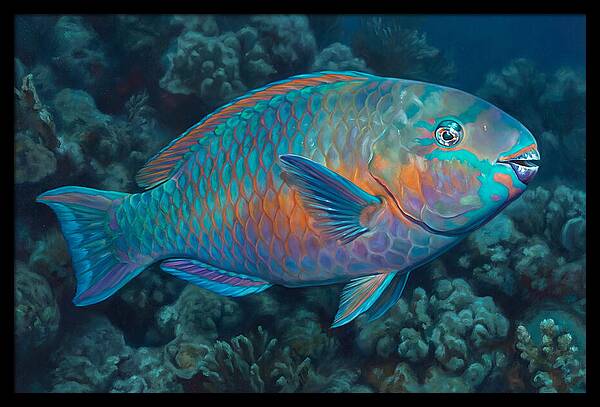 Vibrant Parrotfish Underwater