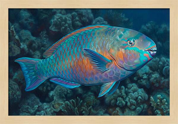 Vibrant Parrotfish Underwater