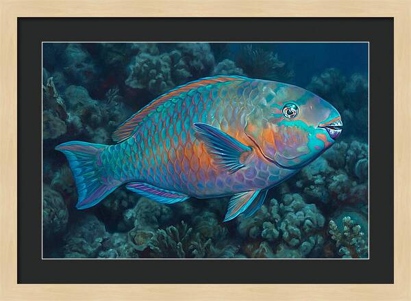 Vibrant Parrotfish Underwater