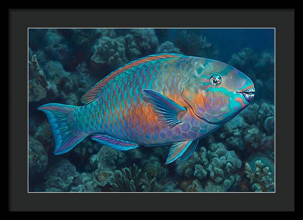 Vibrant Parrotfish Underwater