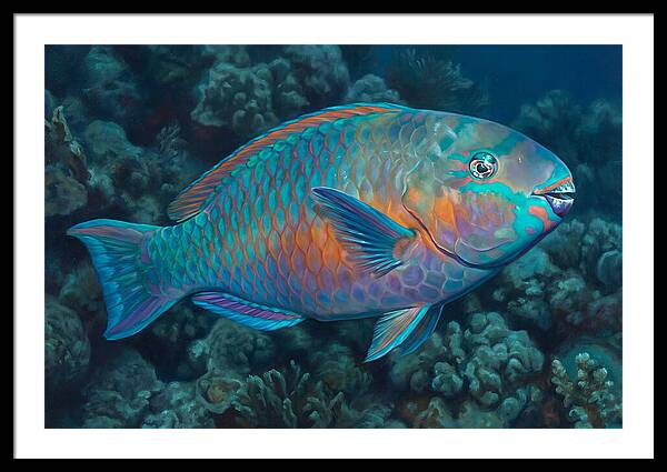 Vibrant Parrotfish Underwater
