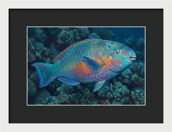 Vibrant Parrotfish Underwater