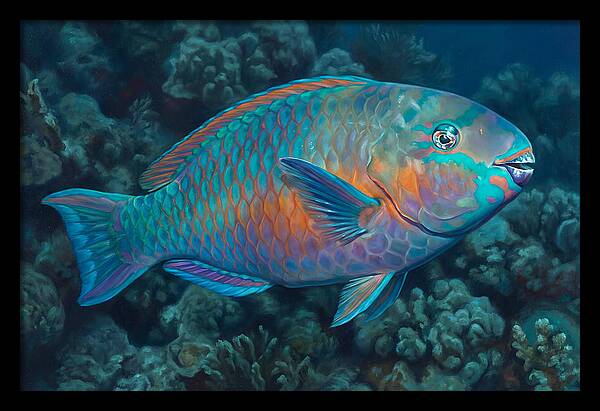 Vibrant Parrotfish Underwater