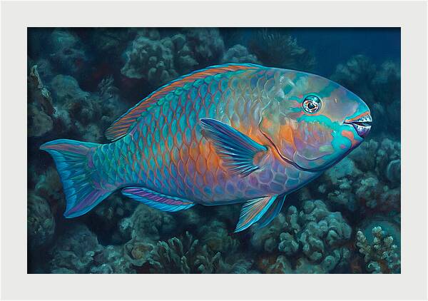 Vibrant Parrotfish Underwater