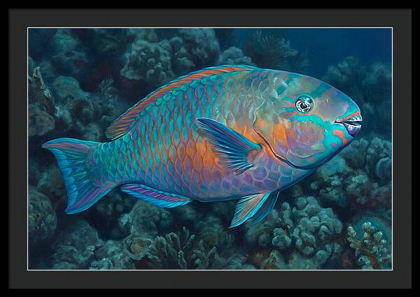 Vibrant Parrotfish Underwater