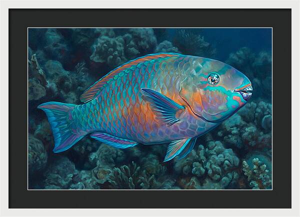 Vibrant Parrotfish Underwater