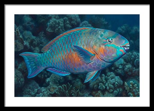 Vibrant Parrotfish Underwater