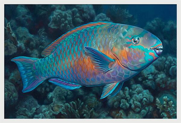 Vibrant Parrotfish Underwater