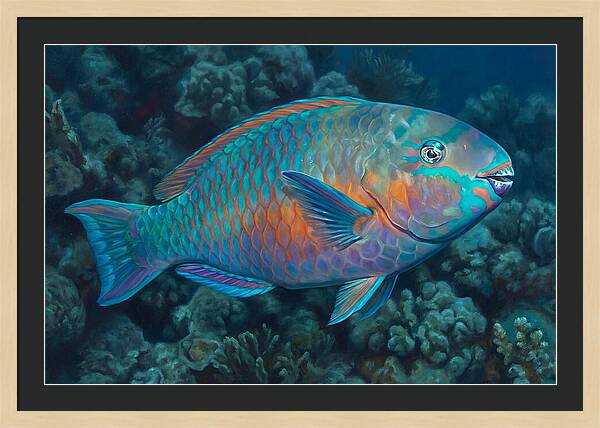Vibrant Parrotfish Underwater