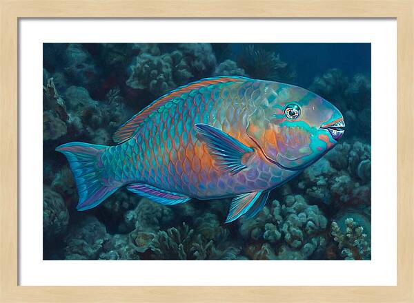 Vibrant Parrotfish Underwater