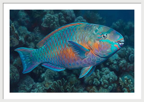 Vibrant Parrotfish Underwater
