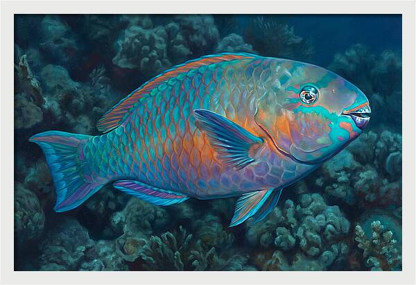 Vibrant Parrotfish Underwater