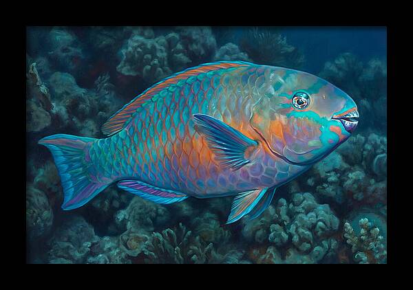 Vibrant Parrotfish Underwater