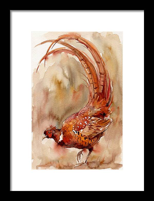 Vibrant Pheasant In Watercolor