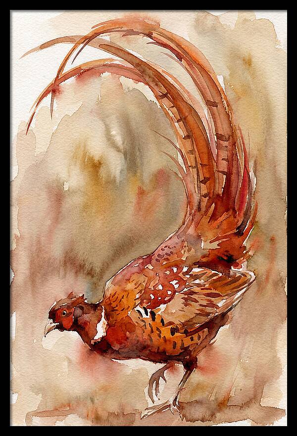 Vibrant Pheasant In Watercolor